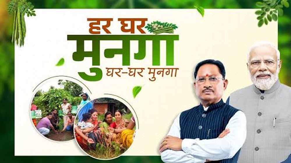 कुपोषण मुक्त छत्तीसगढ़ की तैयारी, हर घर तक मुनगा पहुंचाने का अभियान होगा शुरू