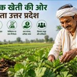 योगी सरकार का नेचुरल फूड पर फोकस, गोशालाओं से निकलेगा समृद्धि का रास्ता