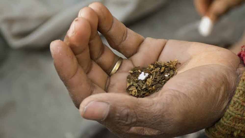 चबाने वाले तंबाकू का खौफनाक असर, स्टडी में 2.51 लाख मौतों का दावा