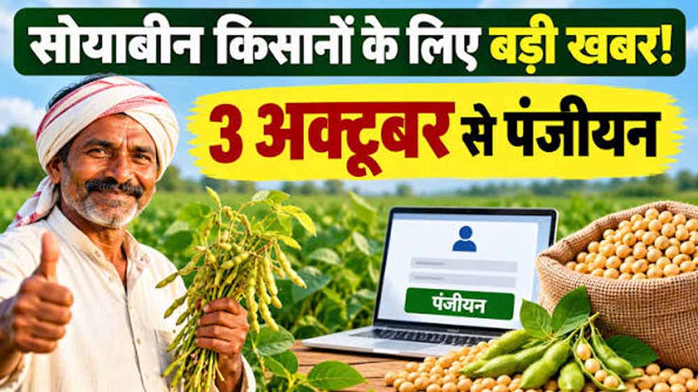 सोयाबीन किसानों के लिए बड़ी खबर, 3 अक्टूबर से पंजीयन; खाते में भेजे जाएंगे ₹1 सोयाबीन किसानों के लिए बड़ी खबर, 3 अक्टूबर से पंजीयन; खाते में भेजे जाएंगे ₹1