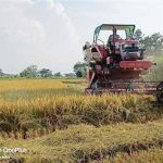 हरियाणा में बारिश का दौर थमा, कुरुक्षेत्र में साफ रहेगा मौसम; 35 डिग्री तक पहुंच सकता है पारा हरियाणा में बारिश का दौर थमा, कुरुक्षेत्र में साफ रहेगा मौसम; 35 डिग्री तक पहुंच सकता है पारा