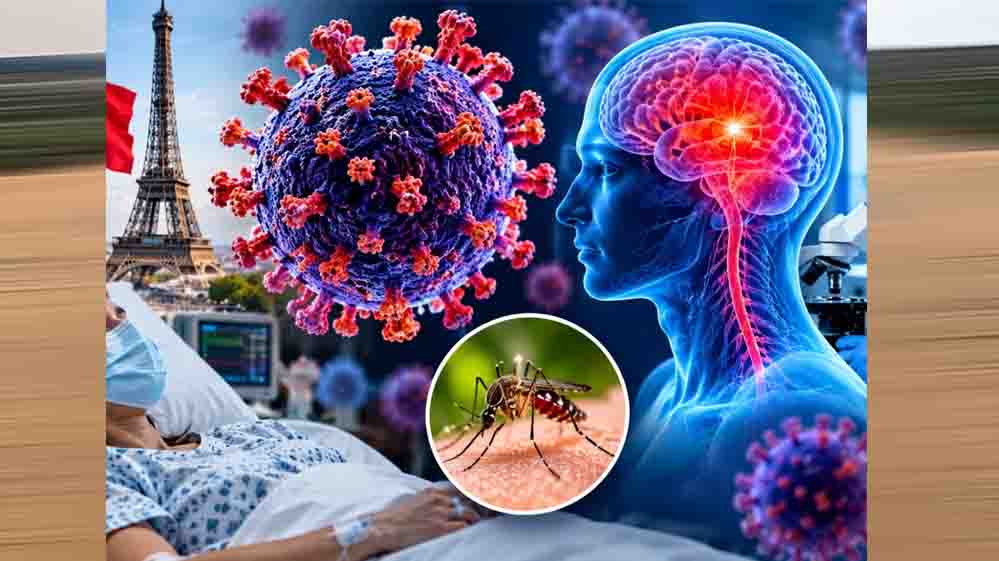 जानवरों से इंसानों तक पहुंचा शमोंडा वायरस? यूरोप के 12 से ज्यादा देशों में फैला संक्रमण