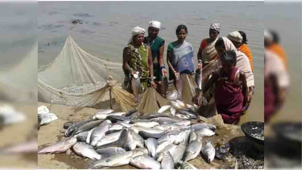 मध्य प्रदेश में ₹7,430 करोड़ का निवेश, 4 जलाशयों में लगेंगे केज; मछली निर्यात पर जोर मध्य प्रदेश में ₹7,430 करोड़ का निवेश, 4 जलाशयों में लगेंगे केज; मछली निर्यात पर जोर