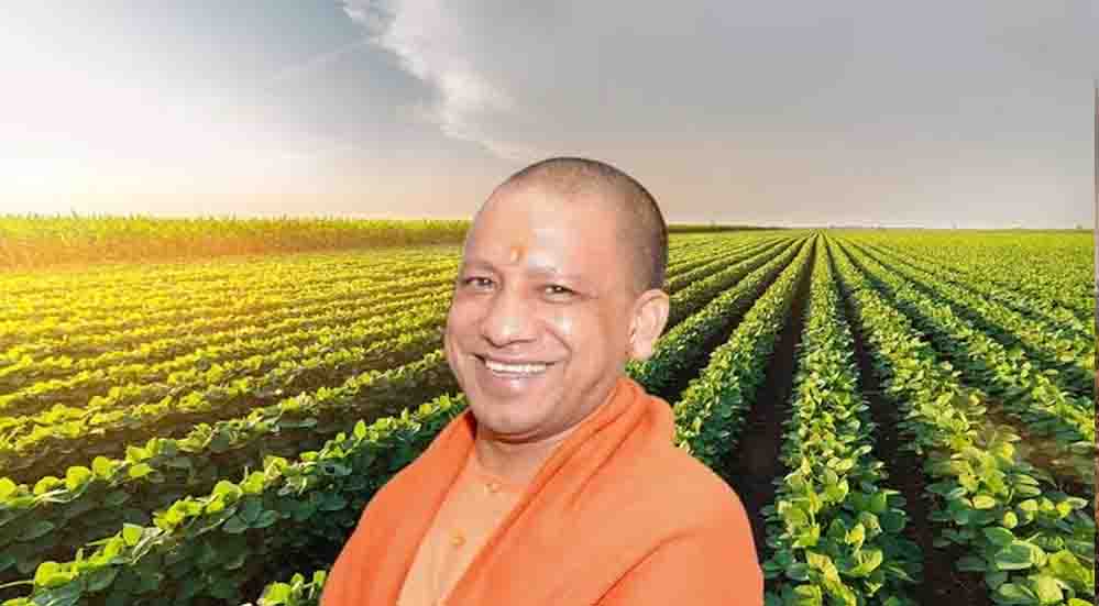 UP News: उत्तर प्रदेश के 3,192 गांवों में चकबंदी पूरी, 8 वर्षों में 21.12 लाख मामलों का हुआ निस्तारण