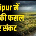 CG Weather Alert: चक्रवाती तूफान की आशंका से किसानों की बढ़ी चिंता, धान की फसल पर मंडराया खतरा CG Weather Alert: चक्रवाती तूफान की आशंका से किसानों की बढ़ी चिंता, धान की फसल पर मंडराया खतरा