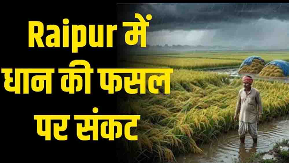 CG Weather Alert: चक्रवाती तूफान की आशंका से किसानों की बढ़ी चिंता, धान की फसल पर मंडराया खतरा