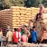 CG Dhan Kharidi: किसानों को ₹3100 प्रति क्विंटल मिलेंगे दाम, 360 नए खरीदी केंद्र भी खुलेंगे; टोकन प्रक्रिया जानें