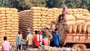 CG Dhan Kharidi: किसानों को ₹3100 प्रति क्विंटल मिलेंगे दाम, 360 नए खरीदी केंद्र भी खुलेंगे; टोकन प्रक्रिया जानें