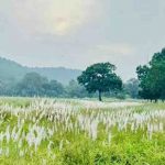 कोर एवं बफर के सभी पर्यटन जोन सामान्य रूप से संचालित, किसी भी गेट को बंद नहीं किया गया