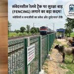 MP में रेल सफर होगा तेज, बुधनी-बरखेड़ा ट्रैक पर वन्यजीवों की आवाजाही रोकने के लिए बिछेगी फेंसिंग MP में रेल सफर होगा तेज, बुधनी-बरखेड़ा ट्रैक पर वन्यजीवों की आवाजाही रोकने के लिए बिछेगी फेंसिंग