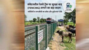 MP में रेल सफर होगा तेज, बुधनी-बरखेड़ा ट्रैक पर वन्यजीवों की आवाजाही रोकने के लिए बिछेगी फेंसिंग MP में रेल सफर होगा तेज, बुधनी-बरखेड़ा ट्रैक पर वन्यजीवों की आवाजाही रोकने के लिए बिछेगी फेंसिंग