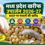 किसानों के लिए जरूरी खबर, सोयाबीन बेचने के लिए 3 से 17 अक्टूबर तक कराएं पंजीयन