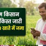 यूपी के 2.24 करोड़ किसानों के खाते में पहुंचे ₹4,482 करोड़, PM किसान की 24वीं किस्त जारी
