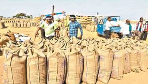 यूपी में 1 नवंबर से शुरू होगी धान खरीद, पूर्वी यूपी समेत कई जिलों को राहत