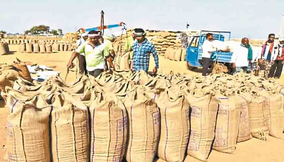 यूपी में 1 नवंबर से शुरू होगी धान खरीद, पूर्वी यूपी समेत कई जिलों को राहत