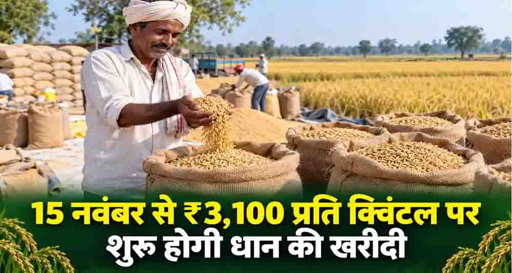 CG में धान खरीदी केंद्रों की संख्या बढ़कर होगी 3100, 15 नवंबर से शुरू होगी समर्थन मूल्य पर खरीदी