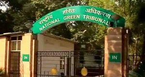 भोपाल के शाहपुरा तालाब पर NGT की नजर, रिपोर्ट दाखिल करने के लिए सरकार को मिली नई समयसीमा भोपाल के शाहपुरा तालाब पर NGT की नजर, रिपोर्ट दाखिल करने के लिए सरकार को मिली नई समयसीमा