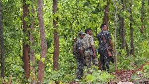 सारंडा-पारसनाथ में बदलेगी तस्वीर, दो दर्जन से अधिक सुरक्षा कैंप बन सकते हैं विकास केंद्र सारंडा-पारसनाथ में बदलेगी तस्वीर, दो दर्जन से अधिक सुरक्षा कैंप बन सकते हैं विकास केंद्र