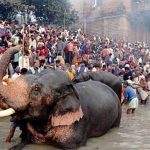 सोनपुर मेले का अनोखा इतिहास: कैसे पशु व्यापार का केंद्र बना किसानों की आवाज और जनजागरण का मंच
