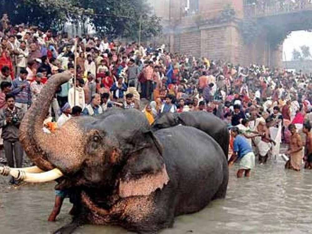 सोनपुर मेले का अनोखा इतिहास: कैसे पशु व्यापार का केंद्र बना किसानों की आवाज और जनजागरण का मंच