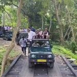 असम में फिर शुरू हुई जंगल सफारी, मानस 2 और काजीरंगा 3 अक्टूबर से पर्यटकों के लिए खुले