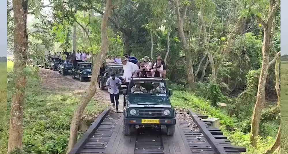 असम में फिर शुरू हुई जंगल सफारी, मानस 2 और काजीरंगा 3 अक्टूबर से पर्यटकों के लिए खुले
