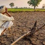 मध्य प्रदेश में बारिश की कमी से बढ़ी चिंता, 25 जिलों में सामान्य बरसात; 11 में 80% से भी कम