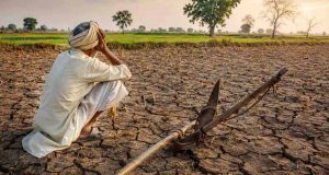 मध्य प्रदेश में बारिश की कमी से बढ़ी चिंता, 25 जिलों में सामान्य बरसात; 11 में 80% से भी कम