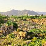 राजस्थान में अरावली को भारी नुकसान, अवैध खनन और निर्माण से बिगड़ रहा पर्यावरणीय संतुलन