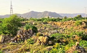 राजस्थान में अरावली को भारी नुकसान, अवैध खनन और निर्माण से बिगड़ रहा पर्यावरणीय संतुलन
