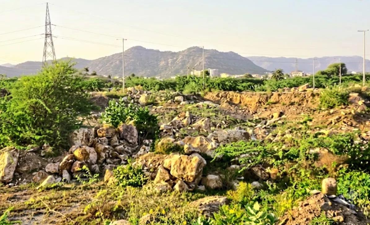 राजस्थान में अरावली को भारी नुकसान, अवैध खनन और निर्माण से बिगड़ रहा पर्यावरणीय संतुलन