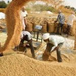 हरियाणा में धान खरीद लक्ष्य का 53% पूरा, अब तक 2.22 लाख किसानों को मिला भुगतान हरियाणा में धान खरीद लक्ष्य का 53% पूरा, अब तक 2.22 लाख किसानों को मिला भुगतान