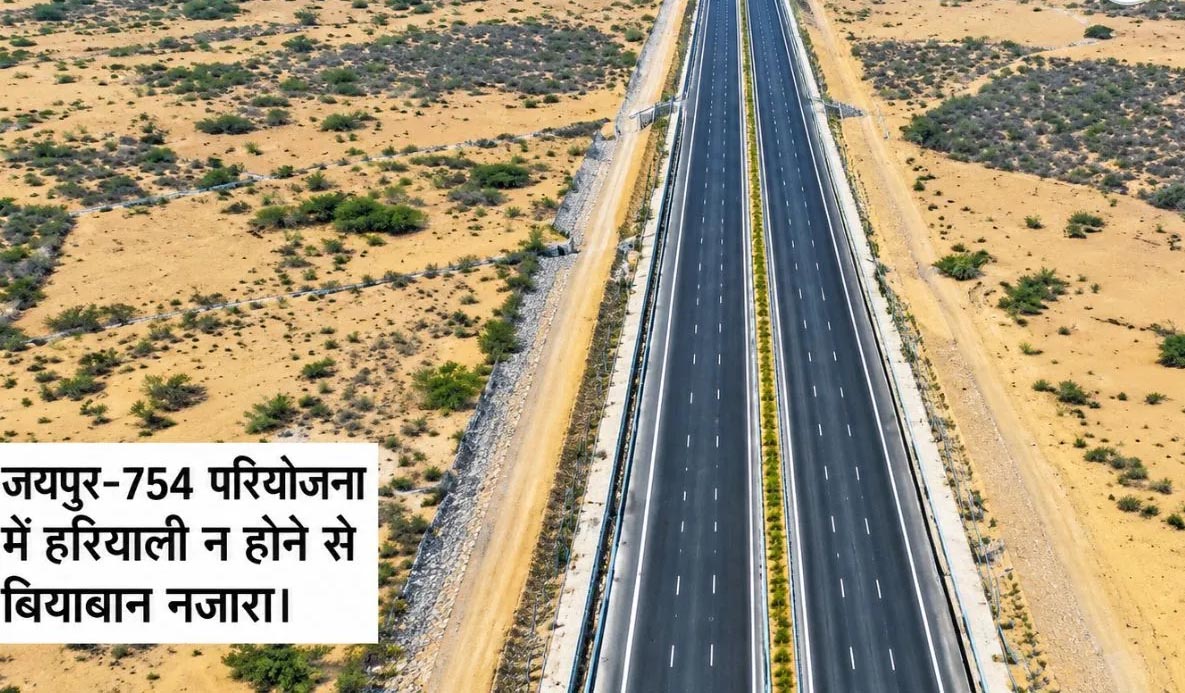 राजस्थान के हाईवे से गायब हुई हरियाली, हनुमानगढ़ में सबसे खराब स्थिति; सैटेलाइट सर्वे में चौंकाने वाले आंकड़े