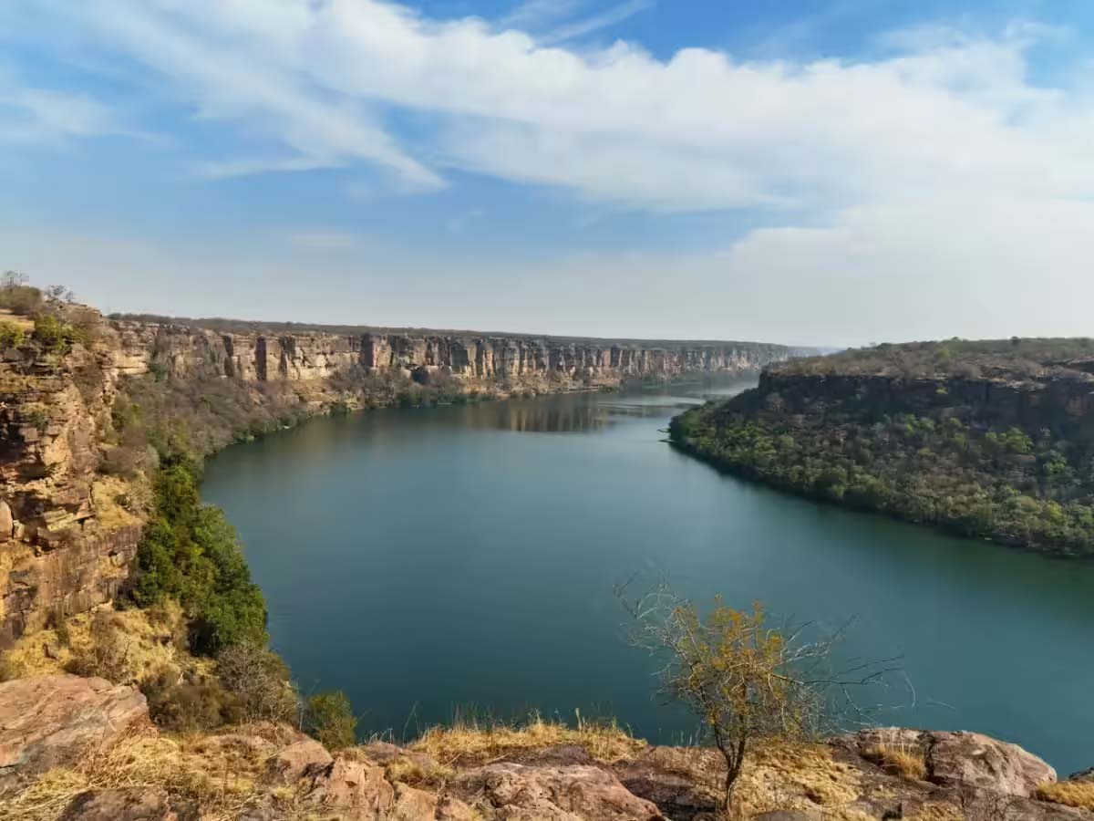 Chambal Water Sharing: रबी फसलों की सिंचाई के लिए 18 अक्टूबर से शुरू होगा जल प्रवाह Chambal Water Sharing: रबी फसलों की सिंचाई के लिए 18 अक्टूबर से शुरू होगा जल प्रवाह
