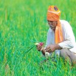 फसल बीमा क्लेम पर बड़ा फैसला, डूंगरपुर के किसानों को मिलेंगे 7.69 करोड़ रुपये