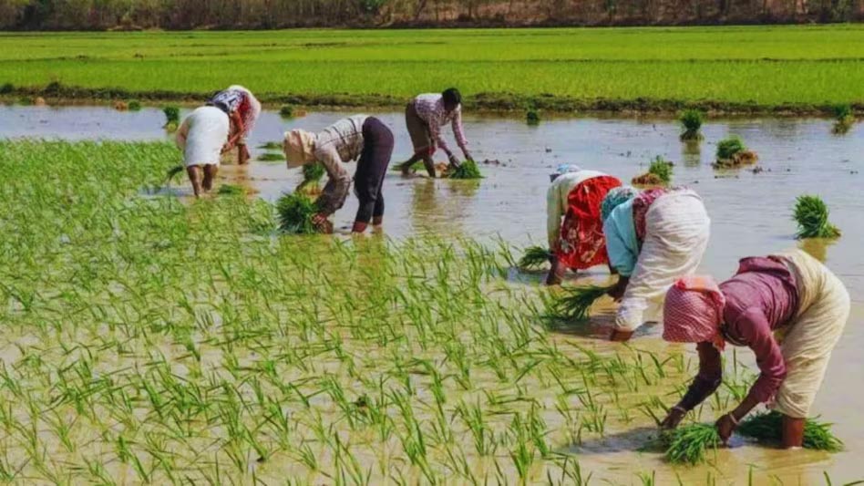 बोकारो से लातेहार तक पांच जिलों में कम खर्च, जिला कृषि अधिकारियों पर गिरेगी गाज बोकारो से लातेहार तक पांच जिलों में कम खर्च, जिला कृषि अधिकारियों पर गिरेगी गाज