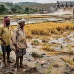 बस्तर में बाढ़ का कहर, 300 से ज्यादा गांव प्रभावित; फसल नुकसान पर किसानों को मिलेगा मुआवजा बस्तर में बाढ़ का कहर, 300 से ज्यादा गांव प्रभावित; फसल नुकसान पर किसानों को मिलेगा मुआवजा