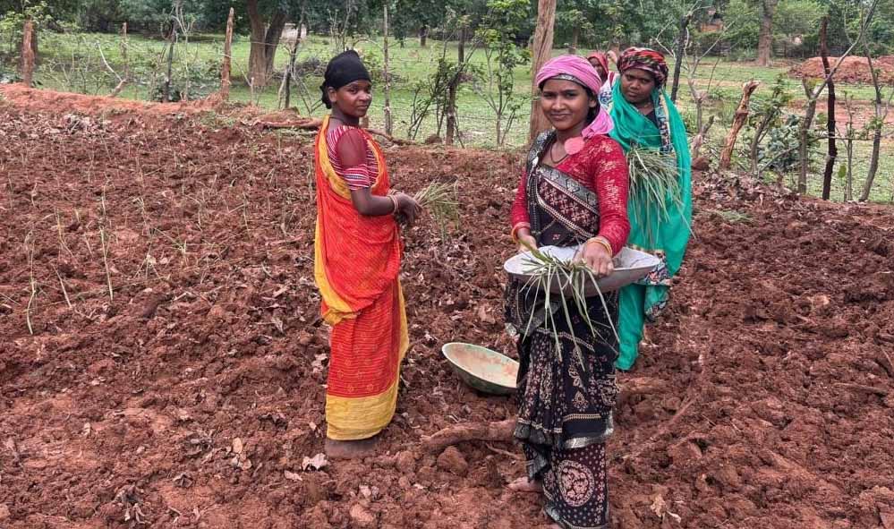 लेमन ग्रास की खेती से महक रही आत्मनिर्भरता, GPM की महिलाएं ‘लखपति दीदी’ बनने की राह पर लेमन ग्रास की खेती से महक रही आत्मनिर्भरता, GPM की महिलाएं ‘लखपति दीदी’ बनने की राह पर