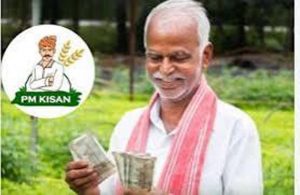 किसानों के खाते में कब आएगी PM Kisan की 24वीं किस्त? अक्टूबर में भुगतान की चर्चा तेज किसानों के खाते में कब आएगी PM Kisan की 24वीं किस्त? अक्टूबर में भुगतान की चर्चा तेज