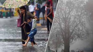 मध्य प्रदेश में बढ़ने लगी ठंडक, सुबह की गुनगुनी धूप दे रही राहत; बारिश को लेकर आया अपडेट