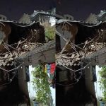 Jabalpur News: नया मोहल्ला में अचानक ढहा जर्जर मकान, रास्ता हुआ ब्लॉक; लोगों को बचाया गया