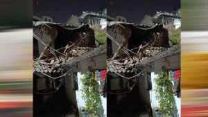 Jabalpur News: नया मोहल्ला में अचानक ढहा जर्जर मकान, रास्ता हुआ ब्लॉक; लोगों को बचाया गया