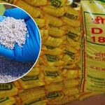 रबी बुवाई से पहले कृषि विभाग अलर्ट, खाद की कालाबाजारी रोकने के लिए दुकानों का निरीक्षण