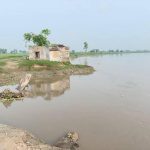 गोमती नदी की बाढ़ से बढ़ा ग्राउंड वाटर लेवल, बारिश से नदी और तालाबों को मिला पानी गोमती नदी की बाढ़ से बढ़ा ग्राउंड वाटर लेवल, बारिश से नदी और तालाबों को मिला पानी