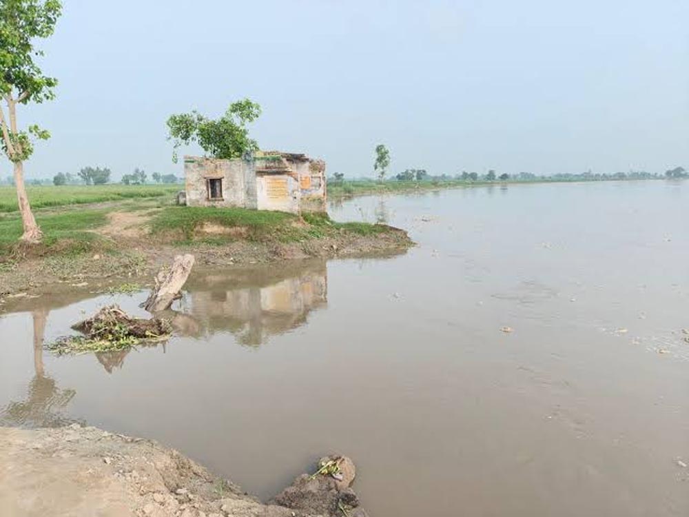 गोमती नदी की बाढ़ से बढ़ा ग्राउंड वाटर लेवल, बारिश से नदी और तालाबों को मिला पानी गोमती नदी की बाढ़ से बढ़ा ग्राउंड वाटर लेवल, बारिश से नदी और तालाबों को मिला पानी