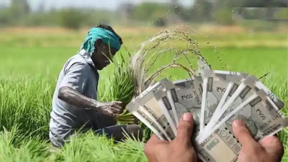 कृषि इनपुट अनुदान योजना: छपरा में 20,661 आवेदनों में से 12,395 को मिली अंतिम मंजूरी, 218 लंबित