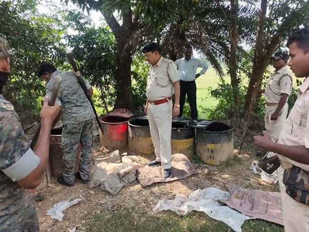 झारखंड के पलामू में छापेमारी, 1100 किलो से अधिक जावा महुआ और महुआ शराब नष्ट