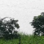 मध्यप्रदेश में मौसम बना जानलेवा, एक साल में 537 मौतें; बढ़ती गर्मी और कंक्रीट से बढ़ी चिंता