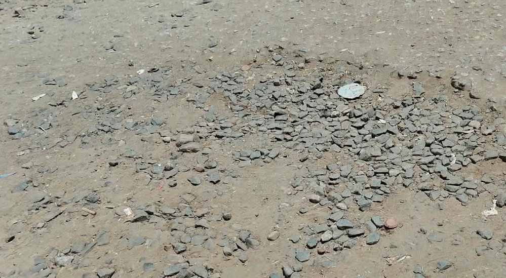 मुरैना में महापौर BJP की, विधायक कांग्रेस के, फिर भी विकास को तरस रहा शहर; बारिश में सड़कें बनीं तालाब मुरैना में महापौर BJP की, विधायक कांग्रेस के, फिर भी विकास को तरस रहा शहर; बारिश में सड़कें बनीं तालाब