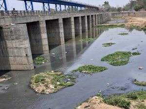 अरपा नदी प्रदूषण पर हाईकोर्ट का सवाल, 70 नालों के लिए सिर्फ 4 STP क्यों? अरपा नदी प्रदूषण पर हाईकोर्ट का सवाल, 70 नालों के लिए सिर्फ 4 STP क्यों?